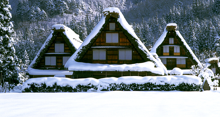 Takayama-Hokuriku Area Tourist Pass